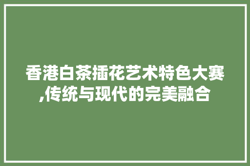 香港白茶插花艺术特色大赛,传统与现代的完美融合