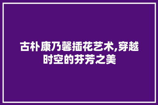 古朴康乃馨插花艺术,穿越时空的芬芳之美