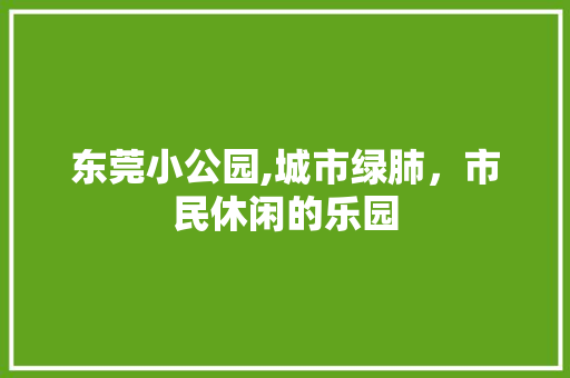 东莞小公园,城市绿肺，市民休闲的乐园