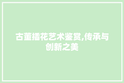 古董插花艺术鉴赏,传承与创新之美