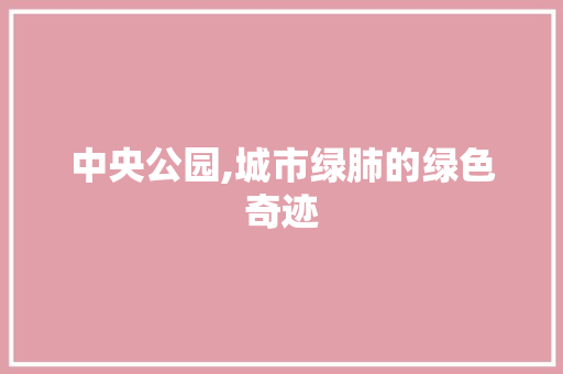 中央公园,城市绿肺的绿色奇迹