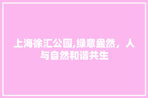 上海徐汇公园,绿意盎然，人与自然和谐共生
