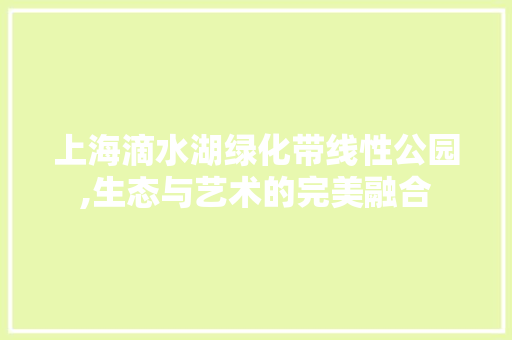 上海滴水湖绿化带线性公园,生态与艺术的完美融合