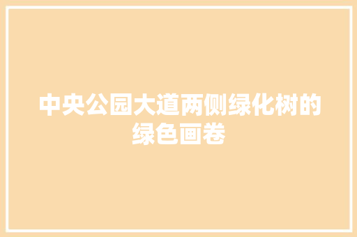 中央公园大道两侧绿化树的绿色画卷