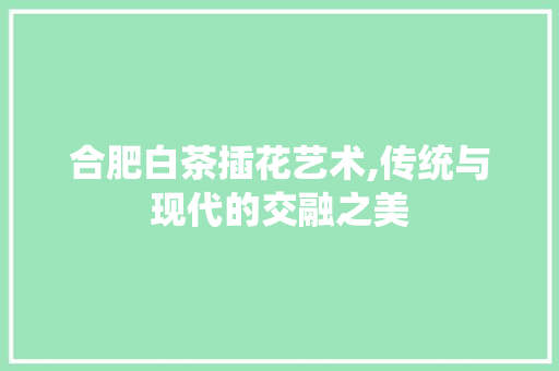合肥白茶插花艺术,传统与现代的交融之美 品种特性