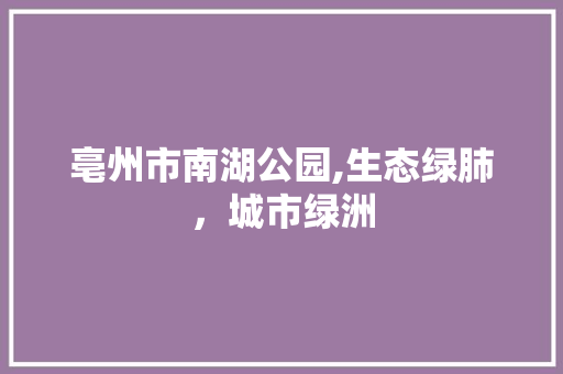 亳州市南湖公园,生态绿肺，城市绿洲