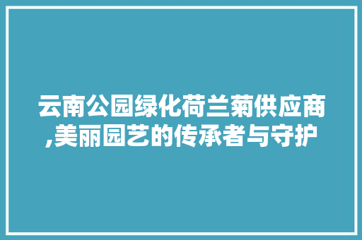 云南公园绿化荷兰菊供应商,美丽园艺的传承者与守护者