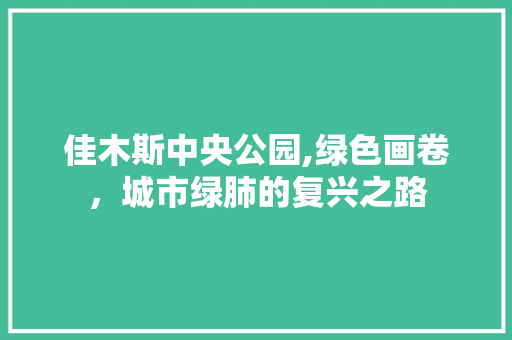 佳木斯中央公园,绿色画卷，城市绿肺的复兴之路
