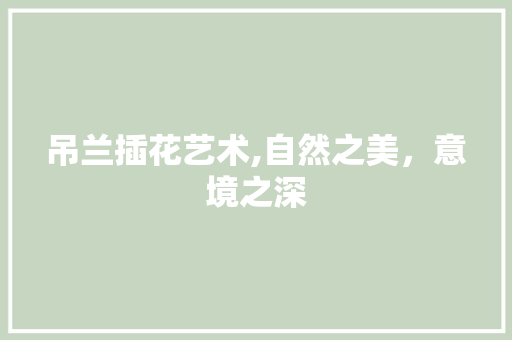 吊兰插花艺术,自然之美，意境之深