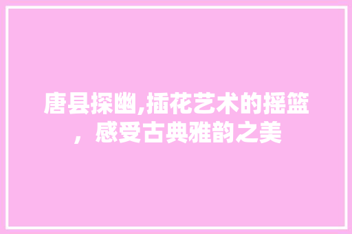 唐县探幽,插花艺术的摇篮，感受古典雅韵之美