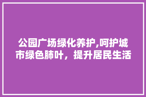 公园广场绿化养护,呵护城市绿色肺叶，提升居民生活品质