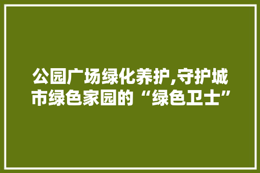 公园广场绿化养护,守护城市绿色家园的“绿色卫士”