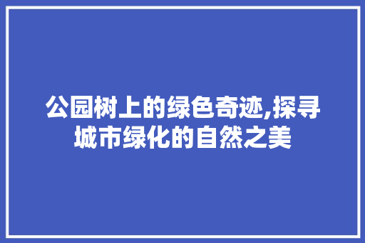 公园树上的绿色奇迹,探寻城市绿化的自然之美