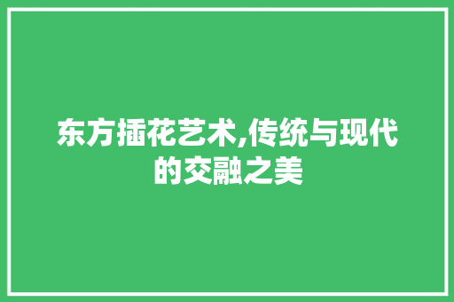 东方插花艺术,传统与现代的交融之美
