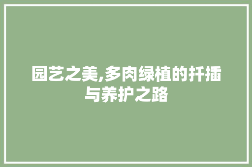 园艺之美,多肉绿植的扦插与养护之路