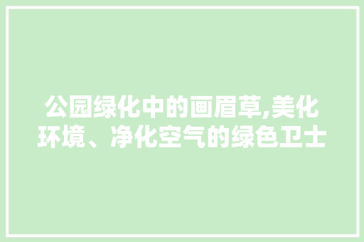 公园绿化中的画眉草,美化环境、净化空气的绿色卫士