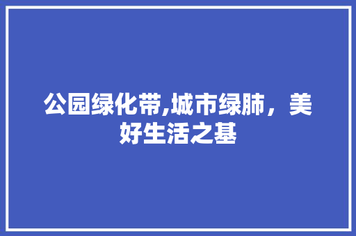 公园绿化带,城市绿肺，美好生活之基