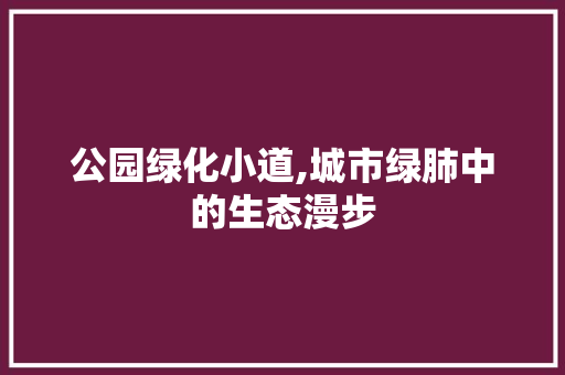 公园绿化小道,城市绿肺中的生态漫步