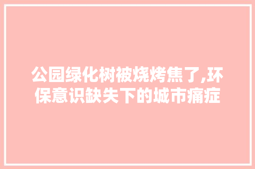 公园绿化树被烧烤焦了,环保意识缺失下的城市痛症