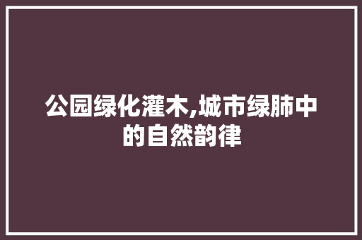 公园绿化灌木,城市绿肺中的自然韵律