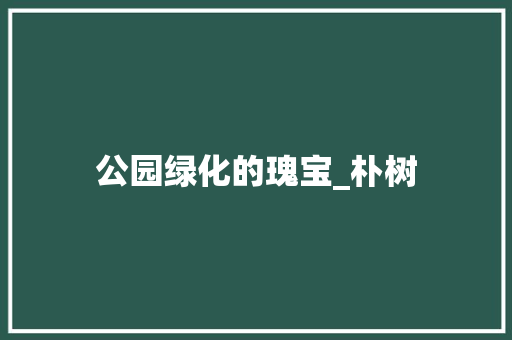 公园绿化的瑰宝_朴树 品种特性