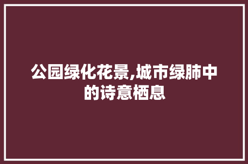 公园绿化花景,城市绿肺中的诗意栖息