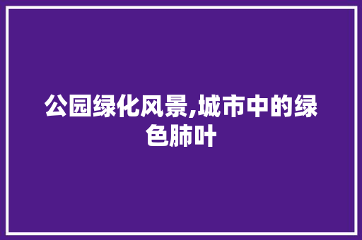 公园绿化风景,城市中的绿色肺叶