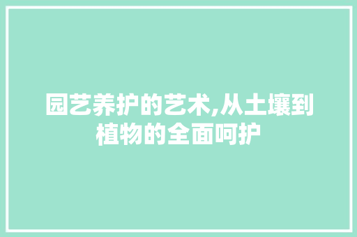 园艺养护的艺术,从土壤到植物的全面呵护