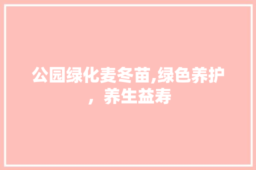 公园绿化麦冬苗,绿色养护，养生益寿