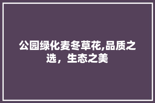 公园绿化麦冬草花,品质之选，生态之美
