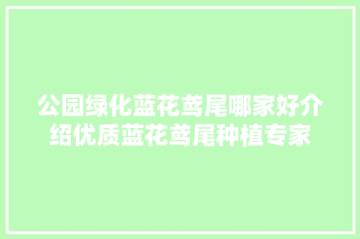 公园绿化蓝花鸢尾哪家好介绍优质蓝花鸢尾种植专家