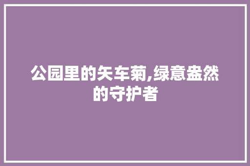 公园里的矢车菊,绿意盎然的守护者