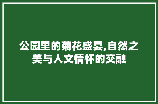 公园里的菊花盛宴,自然之美与人文情怀的交融