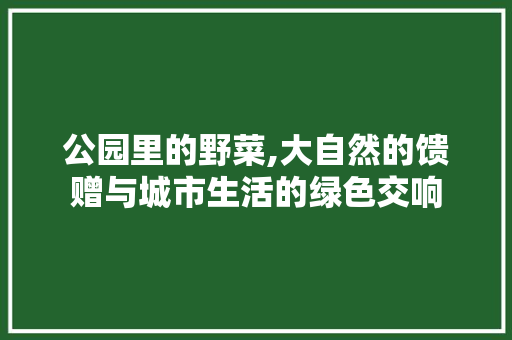 公园里的野菜,大自然的馈赠与城市生活的绿色交响