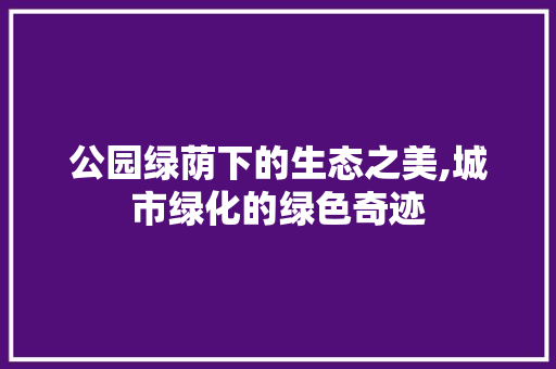 公园绿荫下的生态之美,城市绿化的绿色奇迹