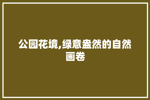 公园花境,绿意盎然的自然画卷