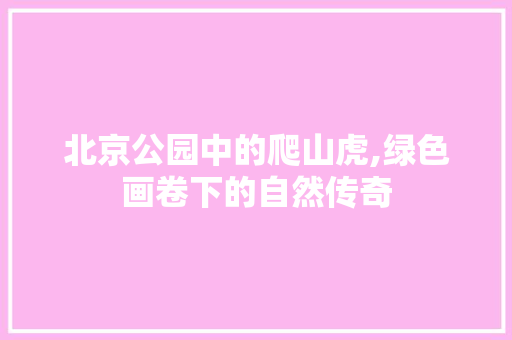 北京公园中的爬山虎,绿色画卷下的自然传奇