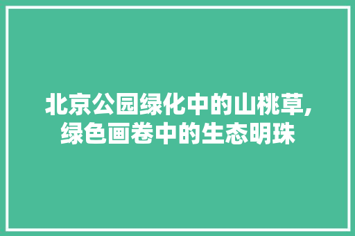 北京公园绿化中的山桃草,绿色画卷中的生态明珠
