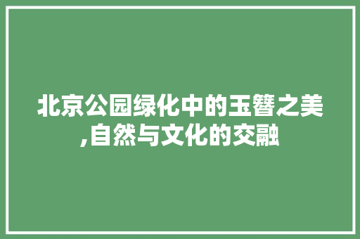 北京公园绿化中的玉簪之美,自然与文化的交融