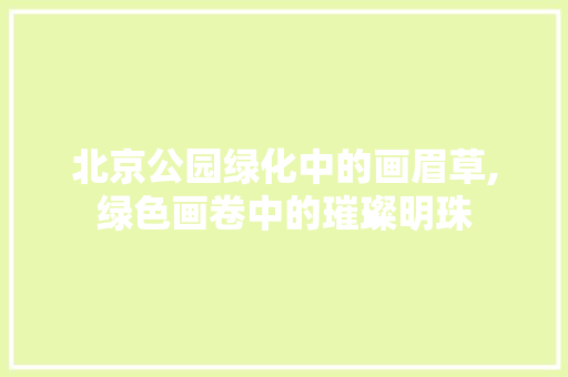 北京公园绿化中的画眉草,绿色画卷中的璀璨明珠