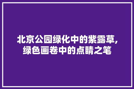 北京公园绿化中的紫露草,绿色画卷中的点睛之笔 品种特性