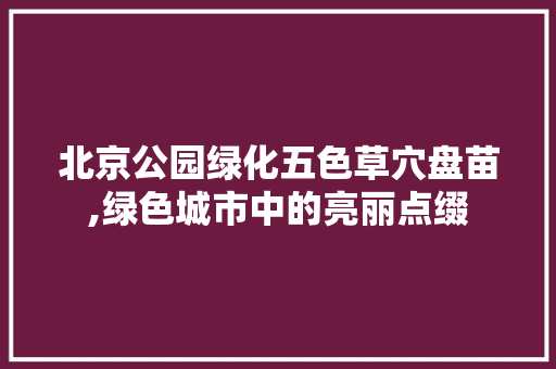 北京公园绿化五色草穴盘苗,绿色城市中的亮丽点缀 整形技巧
