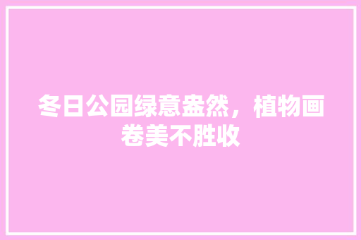 冬日公园绿意盎然，植物画卷美不胜收