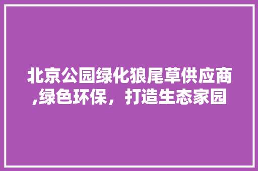 北京公园绿化狼尾草供应商,绿色环保，打造生态家园