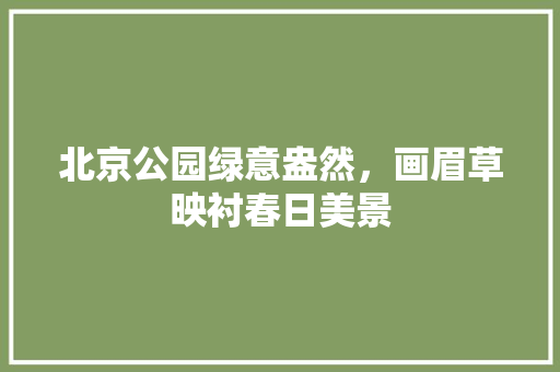 北京公园绿意盎然，画眉草映衬春日美景