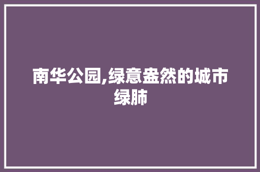 南华公园,绿意盎然的城市绿肺