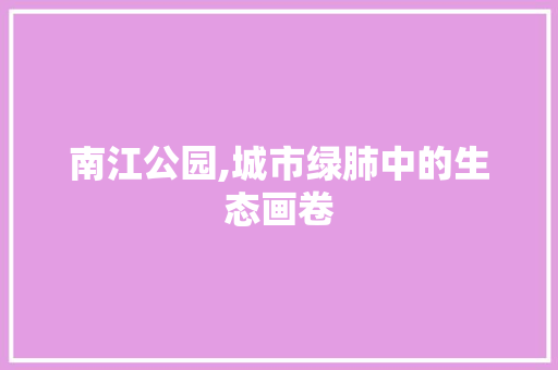 南江公园,城市绿肺中的生态画卷