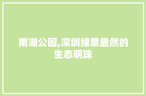 南湖公园,深圳绿意盎然的生态明珠