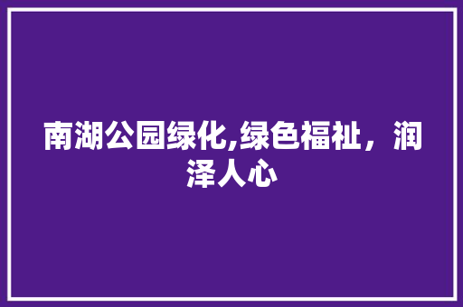 南湖公园绿化,绿色福祉，润泽人心