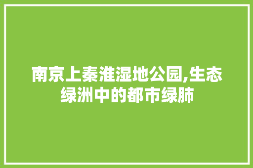 南京上秦淮湿地公园,生态绿洲中的都市绿肺